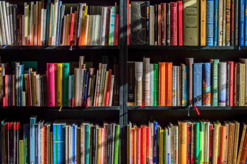 vitrine-AMIRAT-min_books_bookstore_book_reading_shop_writer_sale_books_read-822866